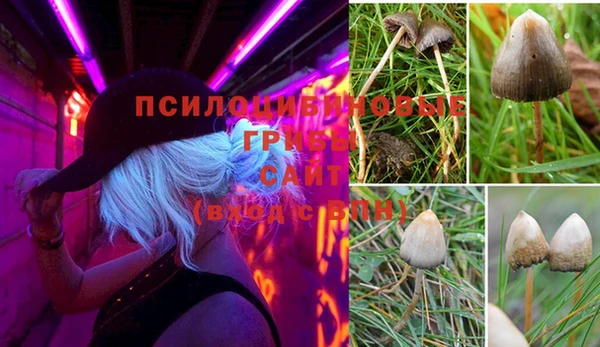 мескалин Алексеевка