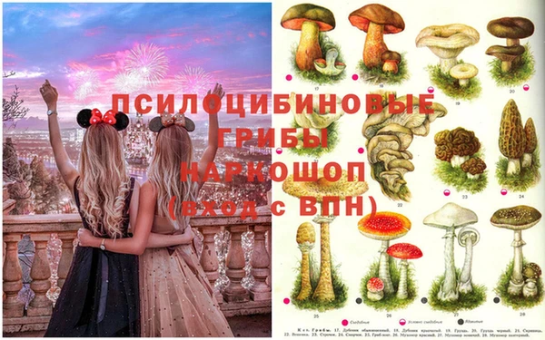 мескалин Алексеевка