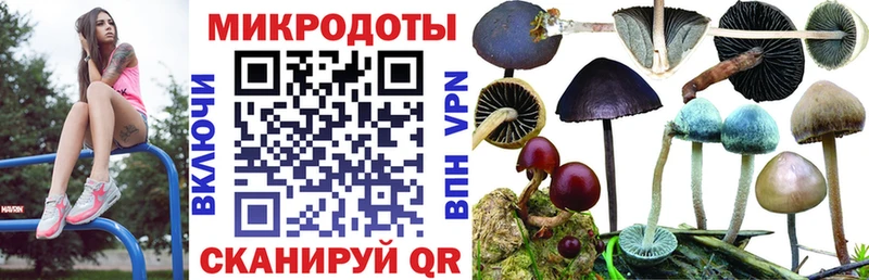 хочу   Белорецк  даркнет формула  Псилоцибиновые грибы MAGIC MUSHROOMS 